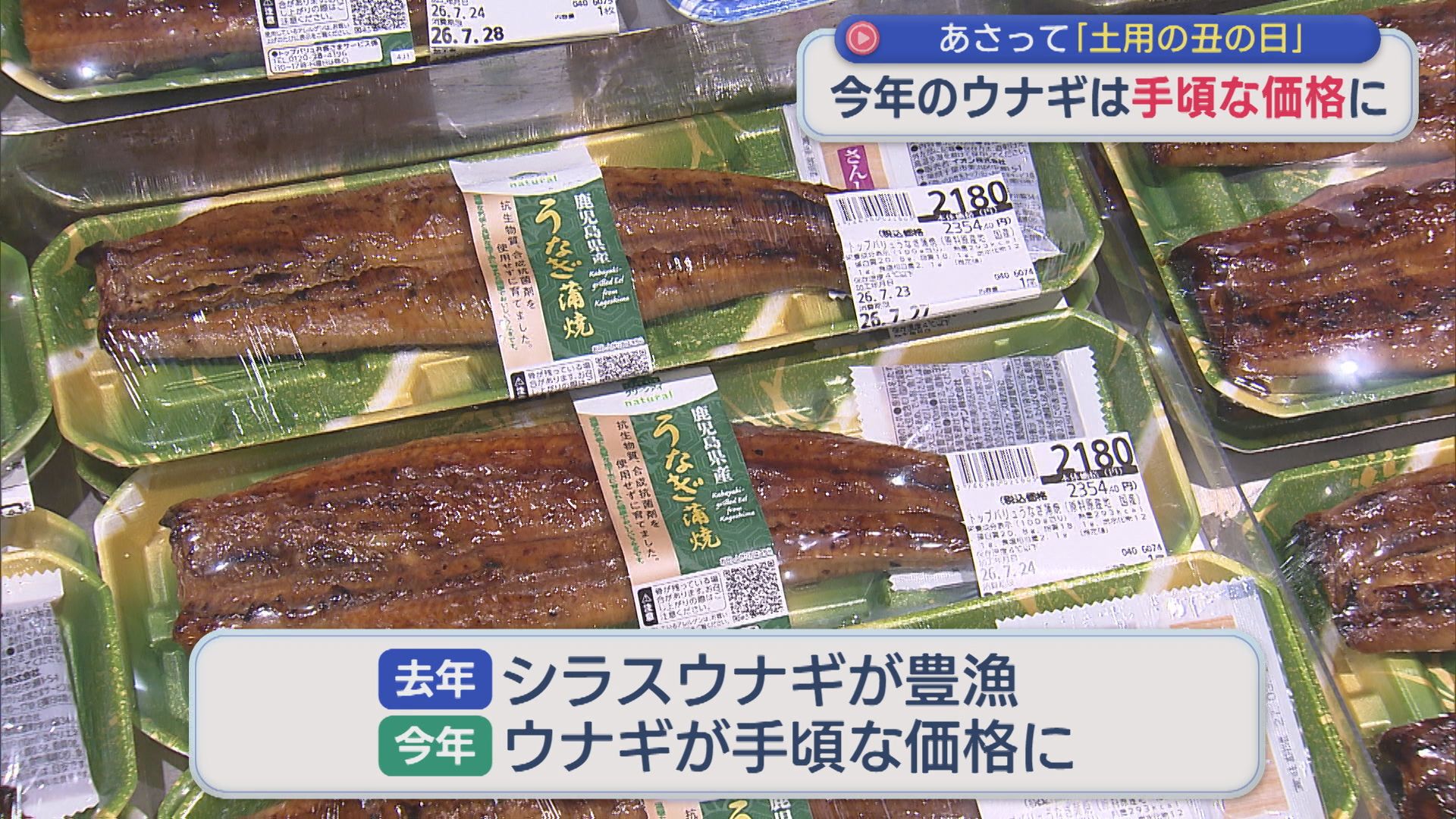 去年豊漁で 今年のウナギは手ごろな価格に：26日は『土用の丑の日』【新潟】 2026年07月24日(金)