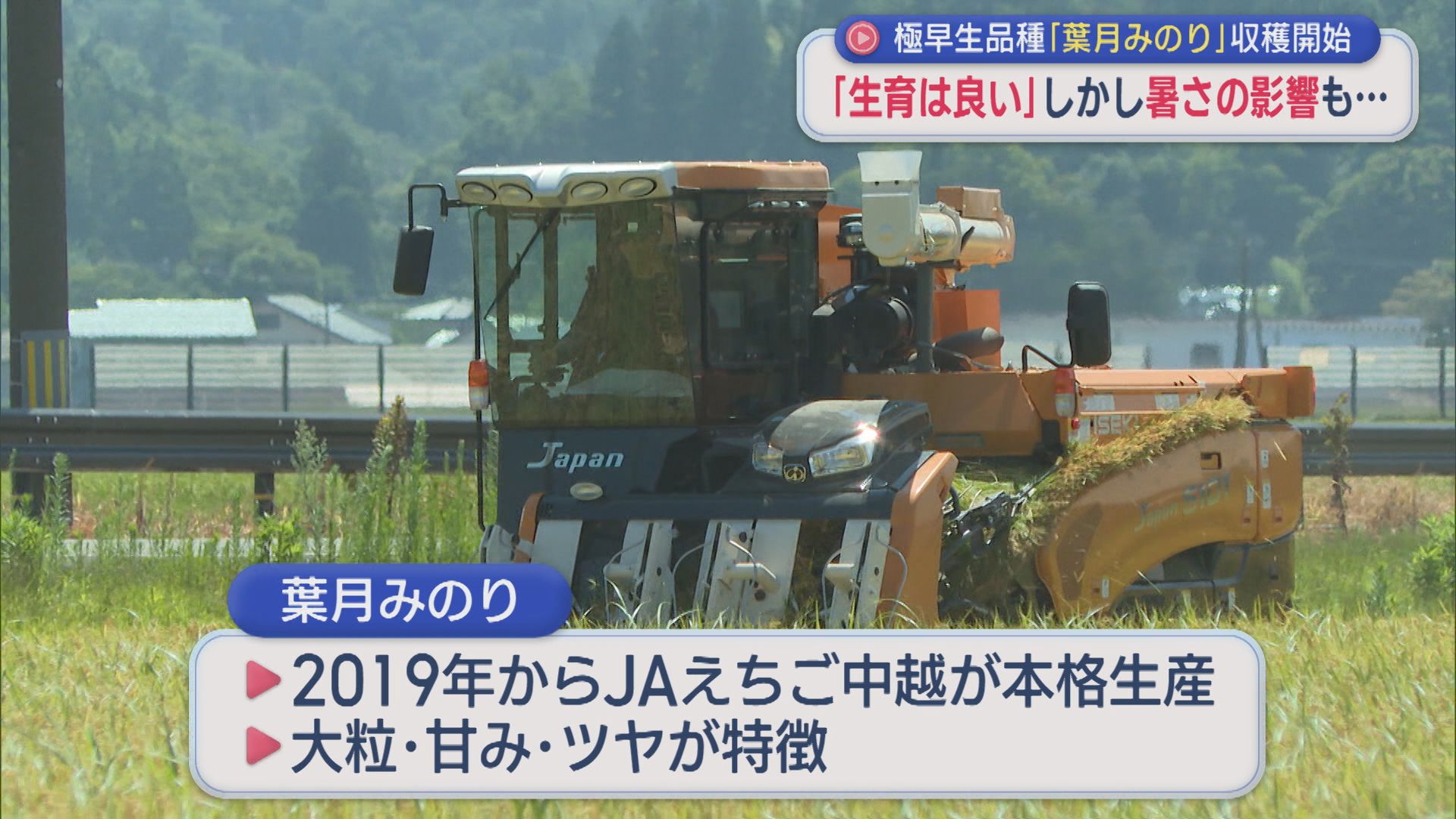 コメ極早生品種「葉月みのり」収穫はじまる 続く暑さで出来栄えは？【新潟】 2026年08月07日(金)