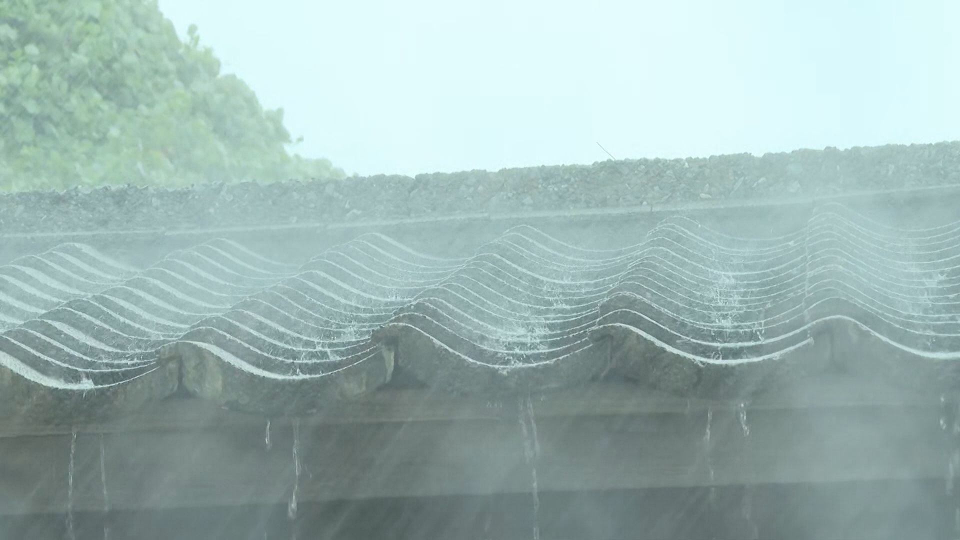 大気の状態が不安定 夜遅くにかけて大雨となるところも【新潟】 2026年08月30日(日)