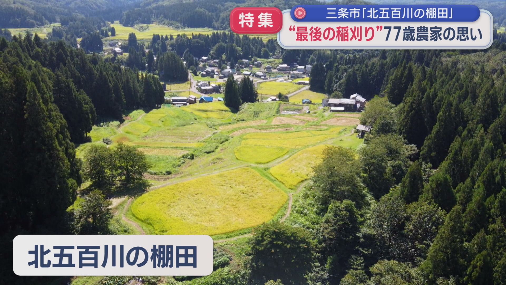 【特集】歴史的な棚田で最後の稲刈り 作付けやめる決断した77歳農家の思い【新潟】 2026年09月08日(火)