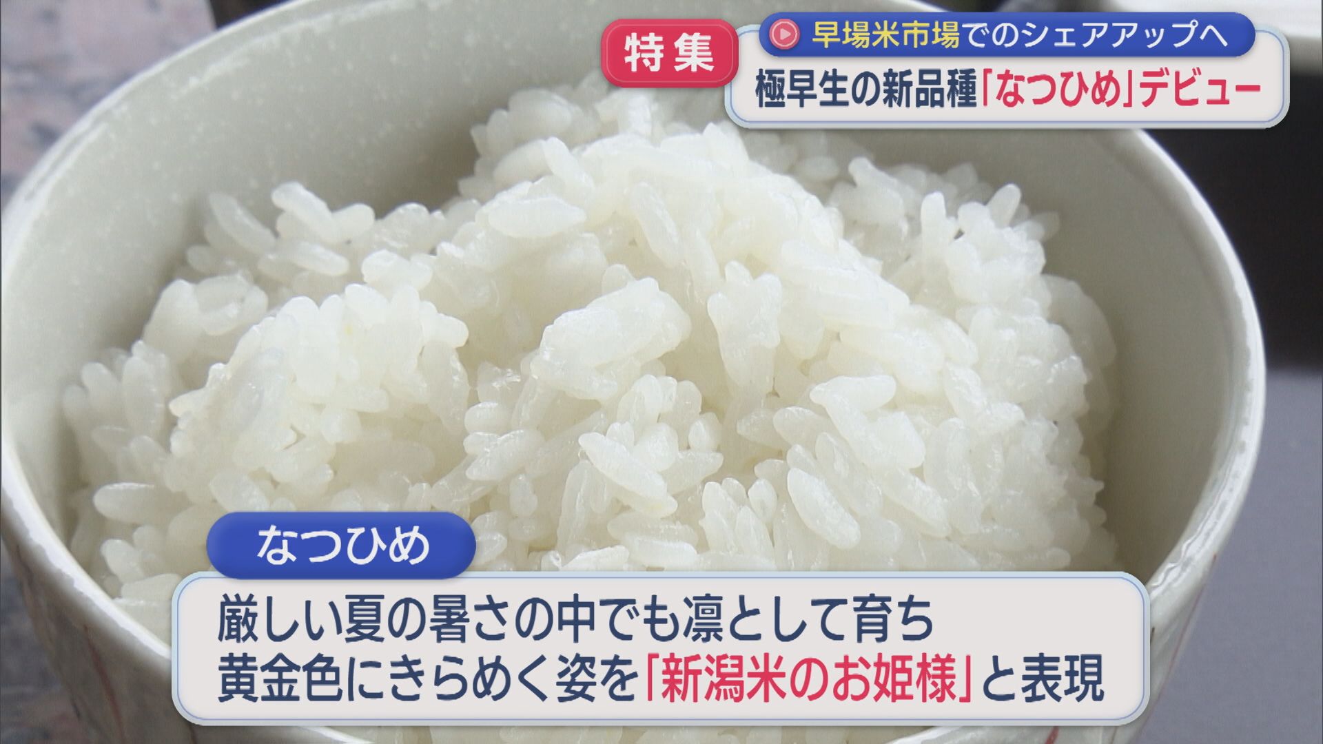 【特集】早場米市場でのシェア獲得を目指す！「なつひめ」ついにデビュー値段は？味は？【新潟】 2026年09月09日(水)