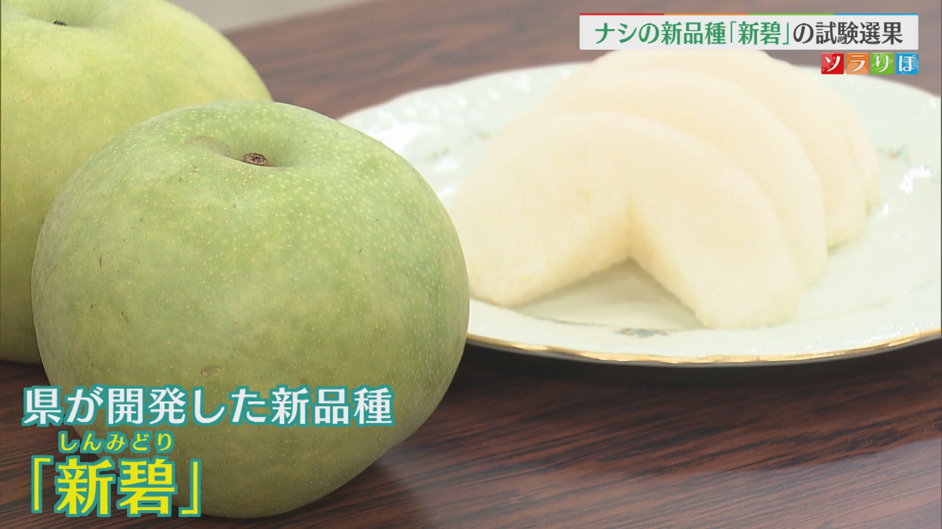 秋の味覚・ナシの新品種「新碧」の試験選果 大玉で糖度が高く酸味が少ないのが特徴【新潟】 2026年09月11日(金)