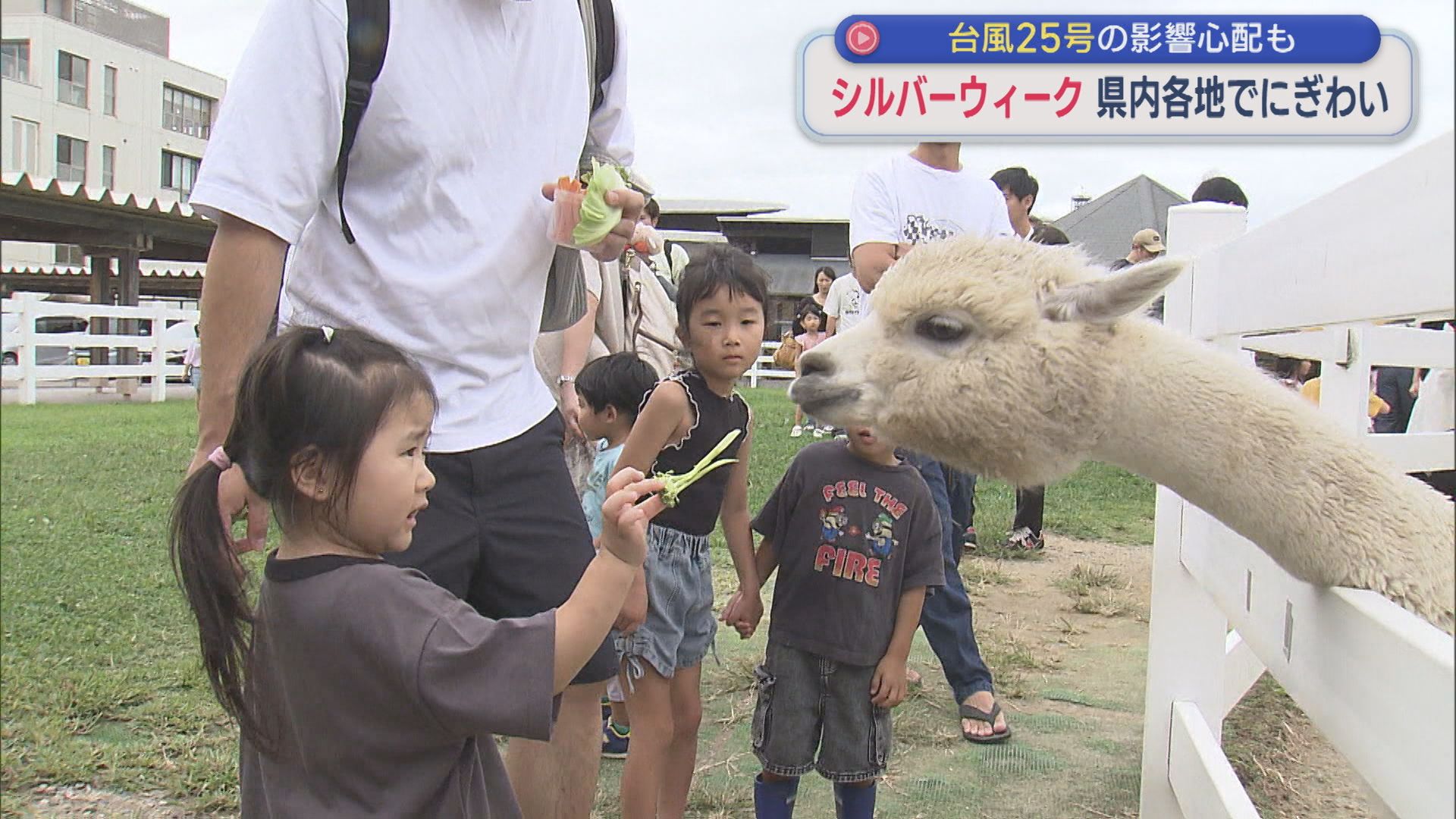 アルパカにカピバラなど 家族で動物とのふれあい楽しむ：シルバーウィーク県内各地は？【新潟】 2026年09月21日(月)