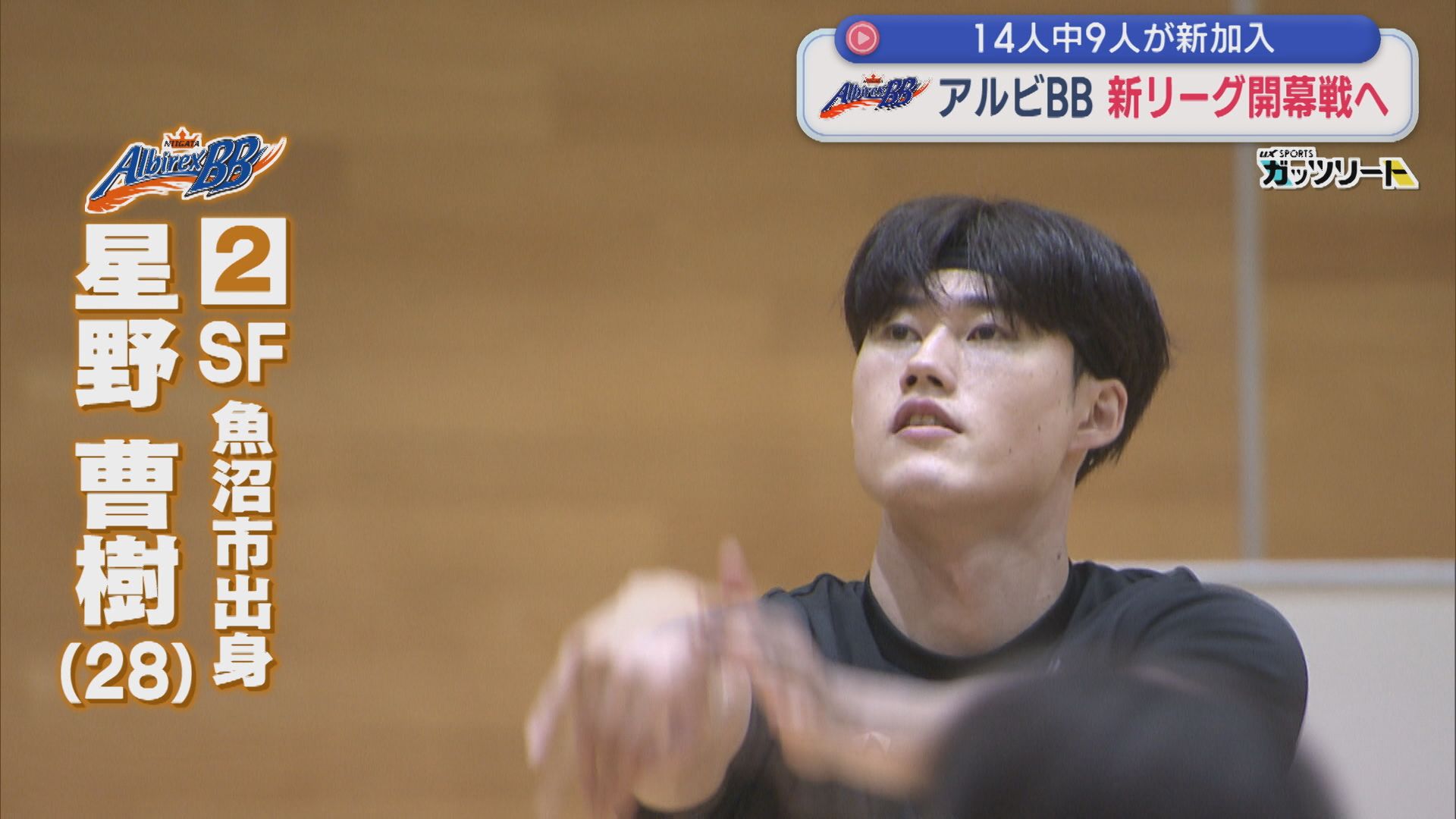 【バスケ｜アルビBB】再び新潟でプレー 星野曹樹選手「結果で証明したい」新リーグ開幕戦へ！【新潟】 2026年09月21日(月)