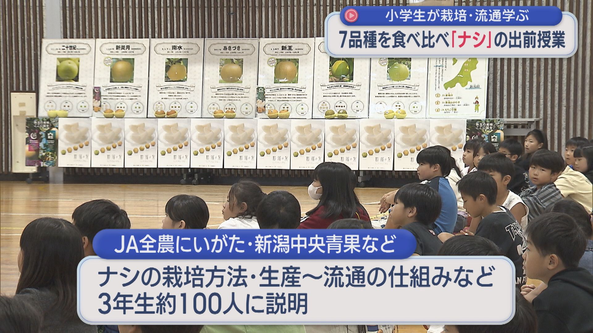 7品種を食べ比べ「ナシ」の食育出前授業 小学生が栽培・流通を学ぶ【新潟】