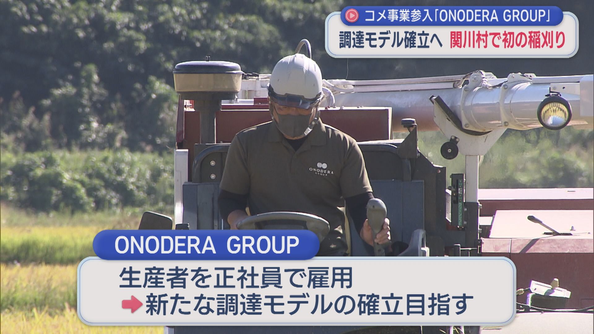 コメ事業参入後 関川村で初の稲刈り、生産者を正社員雇用 新調達モデル確立目指す【新潟】