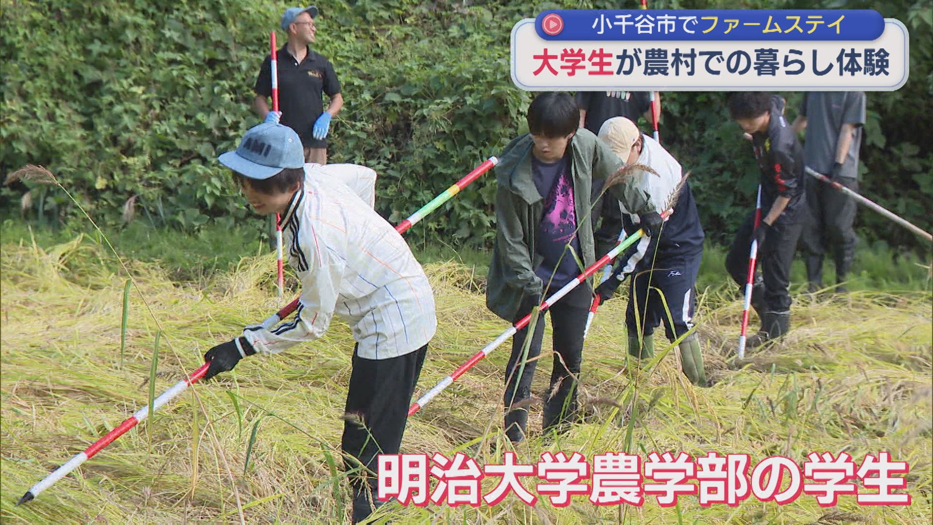 大学生が農村での暮らしを体験 小千谷市でファームステイ【新潟】
