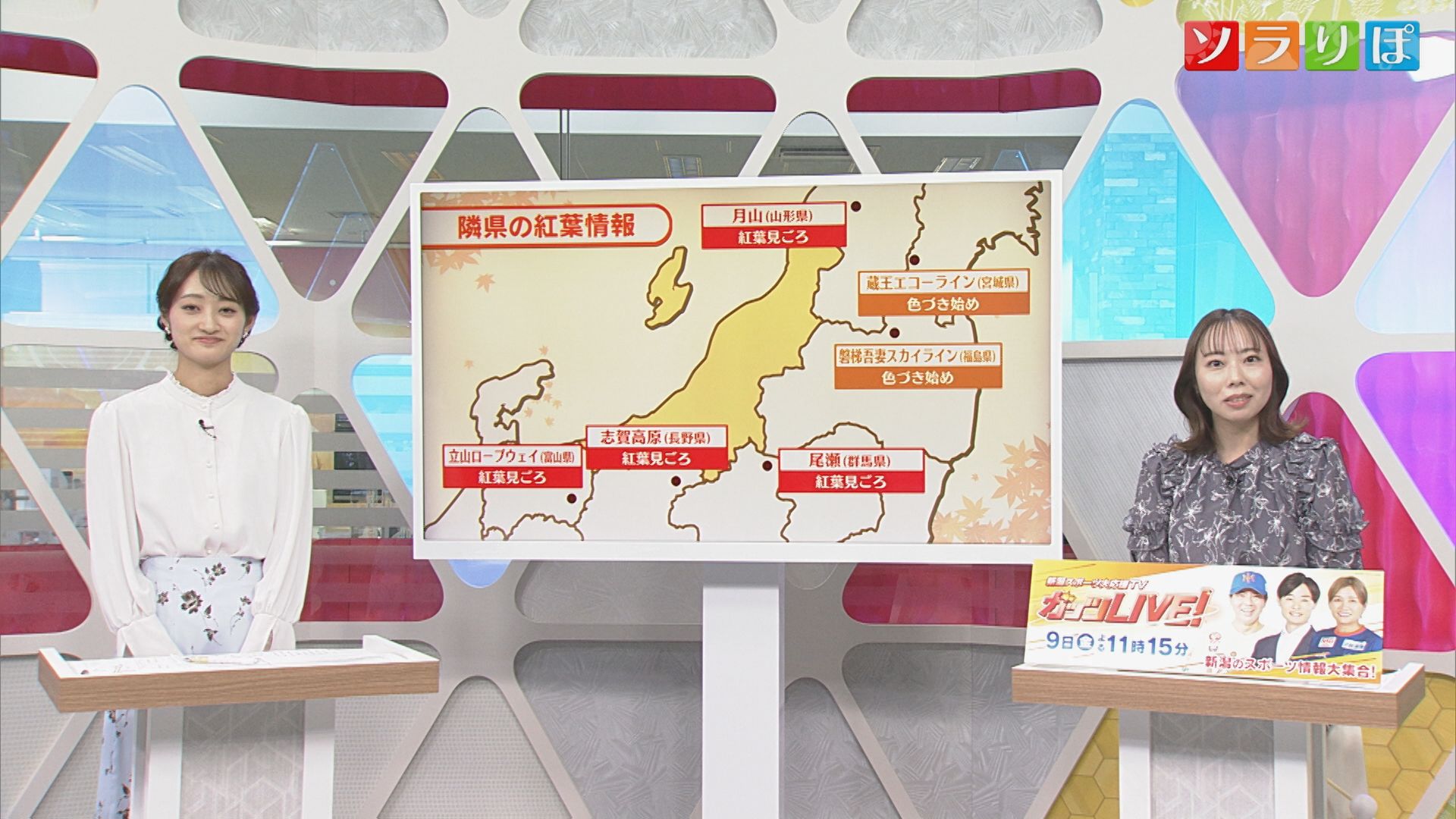 気になる3連休の天気は？隣県の紅葉状況も【気象予報士が解説｜新潟】