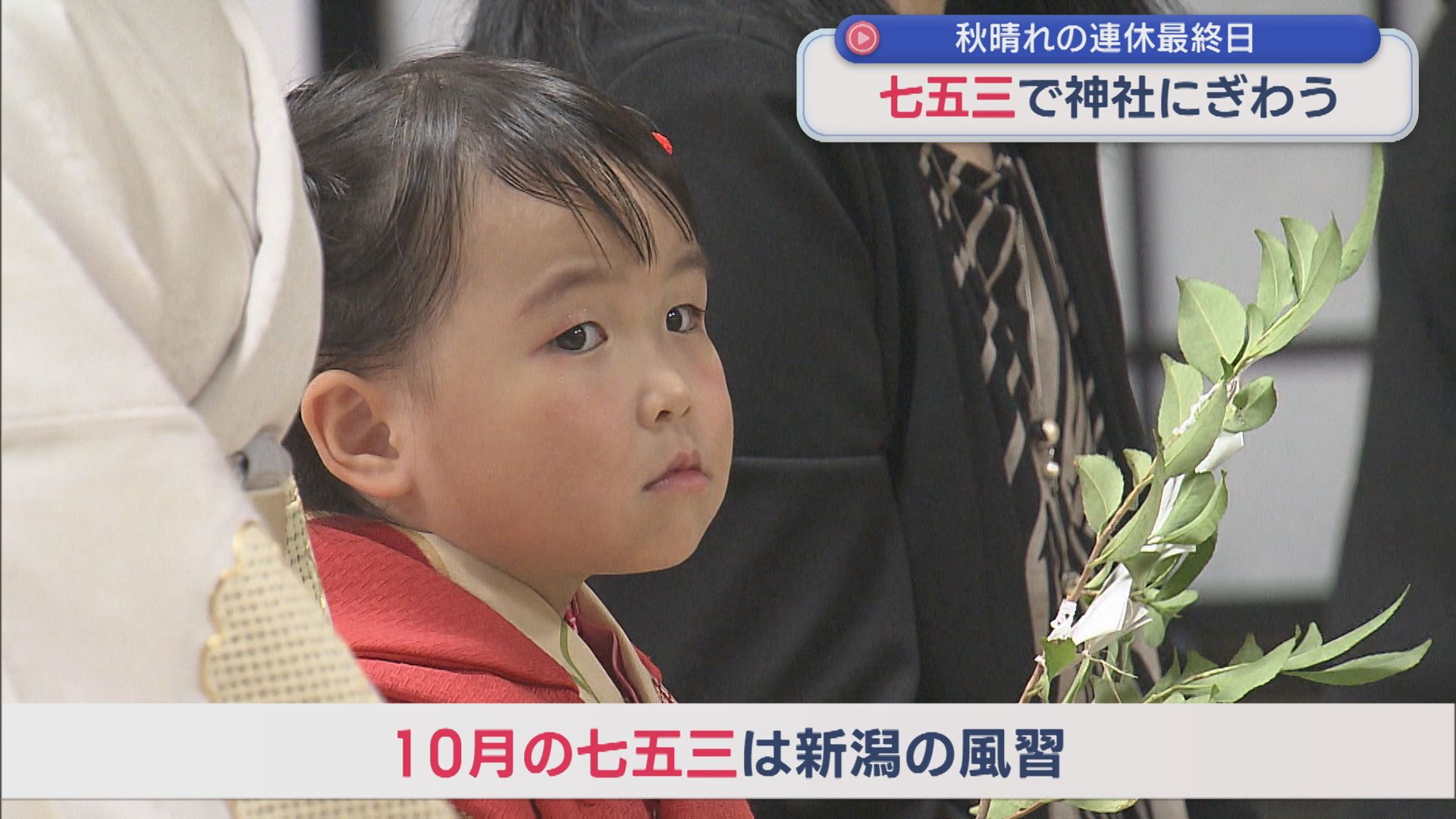 10月に行う新潟の風習「七五三」で神社にぎわう：秋晴れの連休最終日【新潟】