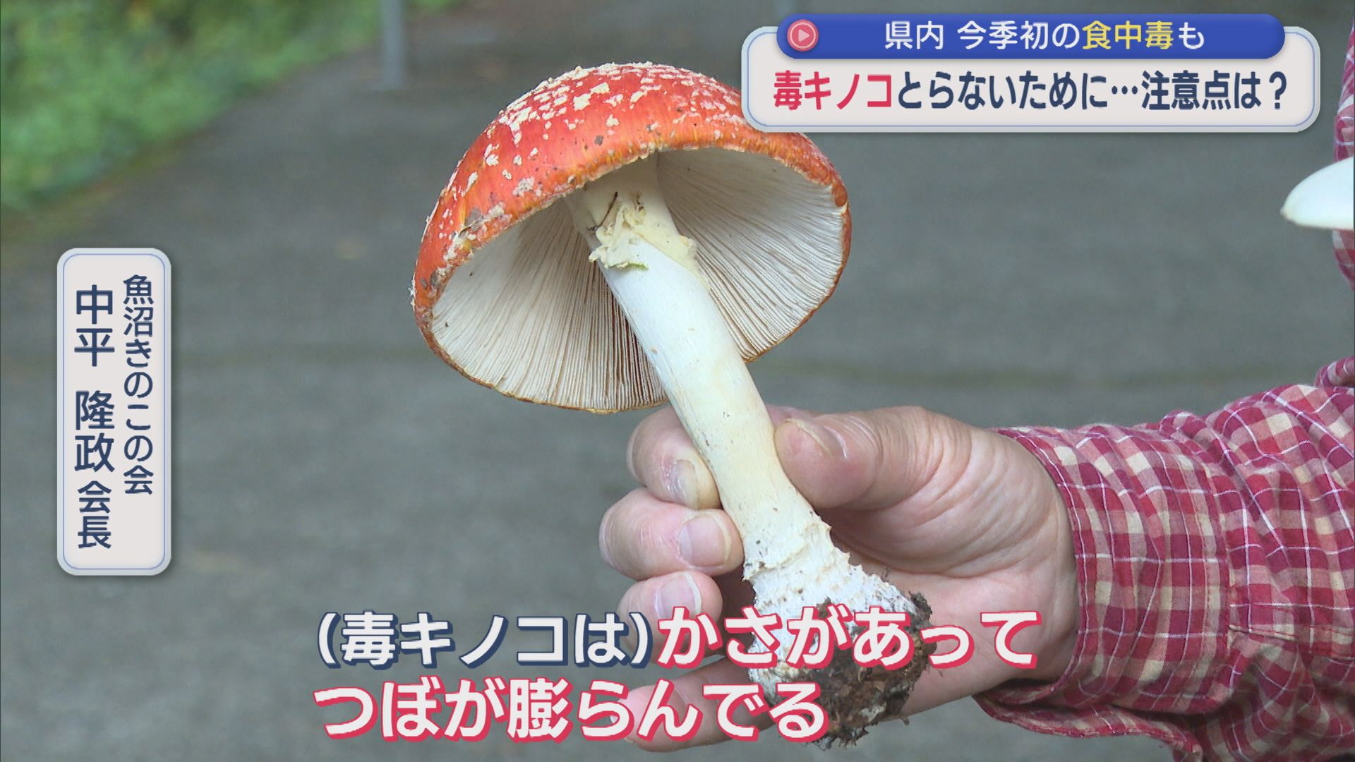 今シーズン初の食中毒も･･･「毒キノコ」とらないためには？専門家に注意点学ぶ【新潟】