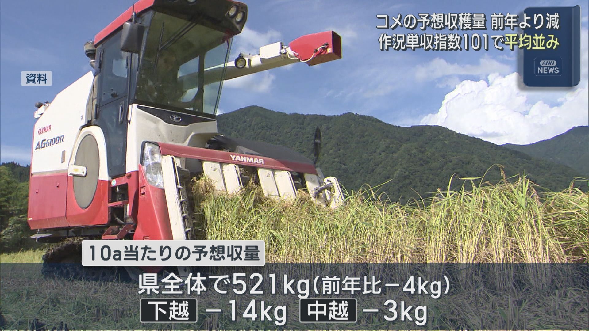 コメの予想収穫量は前年より減、作況単収指数101で平年並み【新潟】